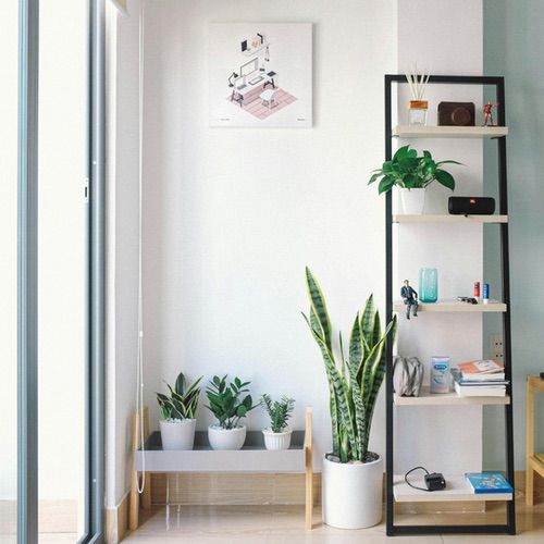 A bright, minimalistic room corner brings hygge on a budget, with three potted plants on the floor, a black-framed shelving unit holding books, decor, and plants, and framed artwork on a white wall. Natural light streams in from the left.